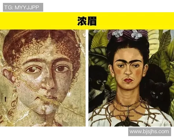 你不知道的浓眉冷知识盘点 揭秘十大隐藏细节与趣味故事 你不知道的浓眉冷知识盘点 揭秘十大隐藏细节与趣味故事