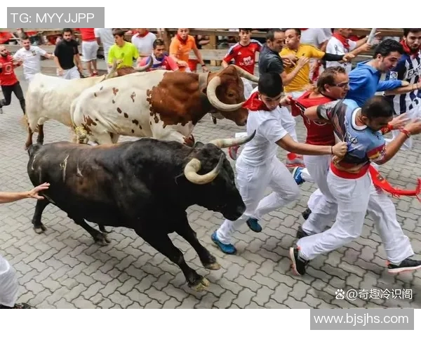 你不知道的公牛:十大冷知识大揭秘 你不知道的公牛:十大冷知识大揭秘